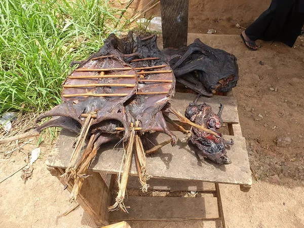 Bushmeat