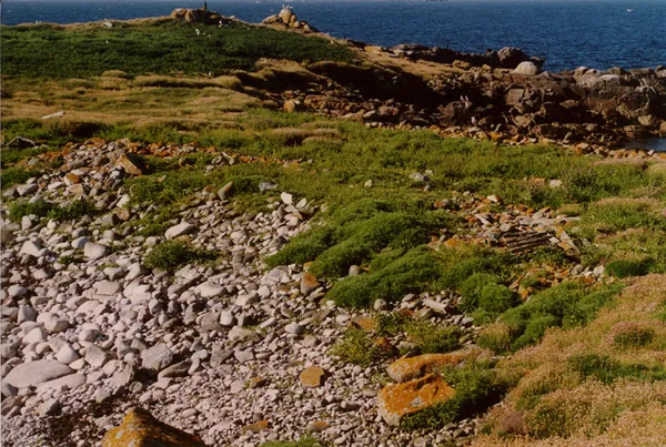 Annet, Isles of Scilly