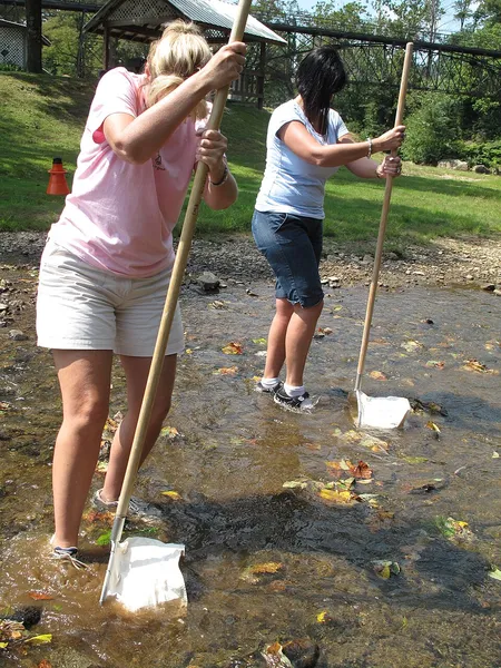 Aquatic biomonitoring