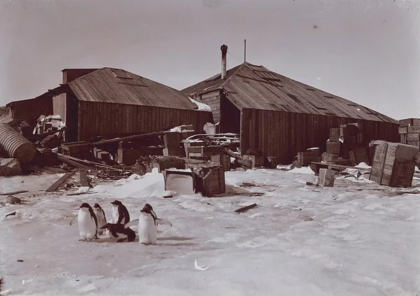 Australasian Antarctic Expedition