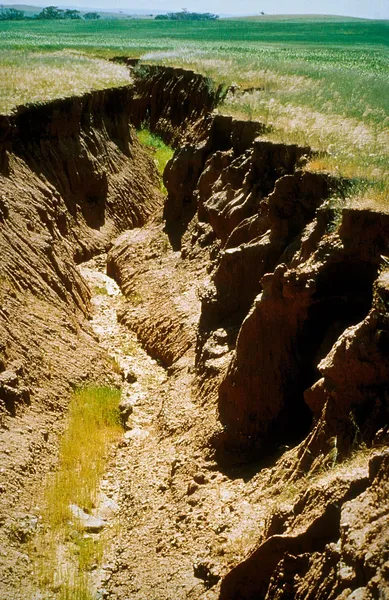 Geology of South Australia