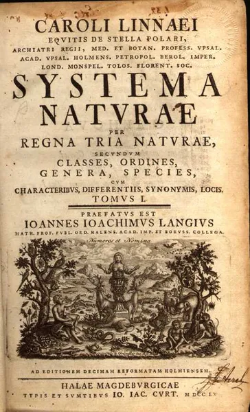 1735