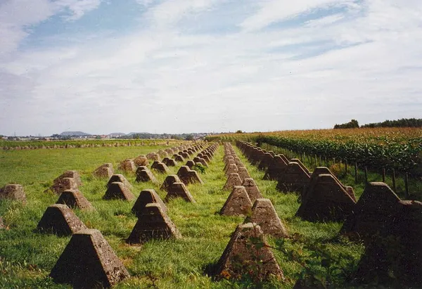 Dragon's teeth (fortification)