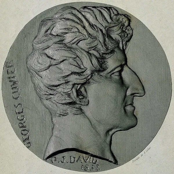 Cuvier–Geoffroy debate