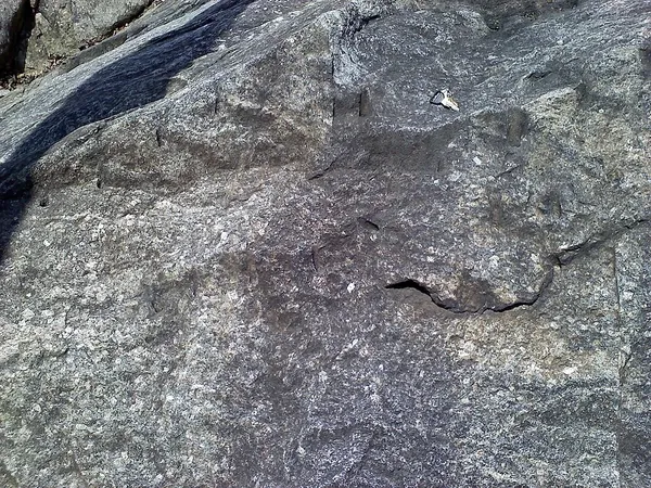 Ellicott City Granodiorite