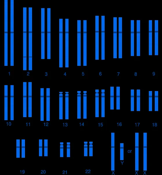 Genetic diversity