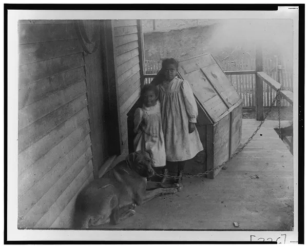 African Americans in Georgia