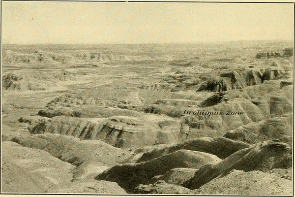 Bridger Formation