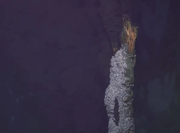 Beebe Hydrothermal Vent Field
