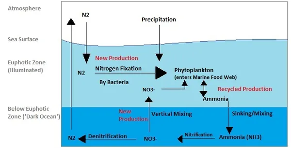 Chemical cycling