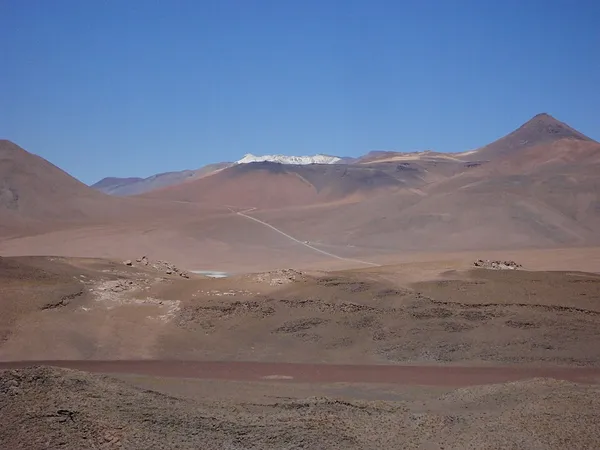 El Laco