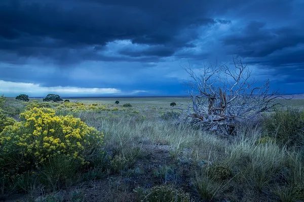 Great Plains