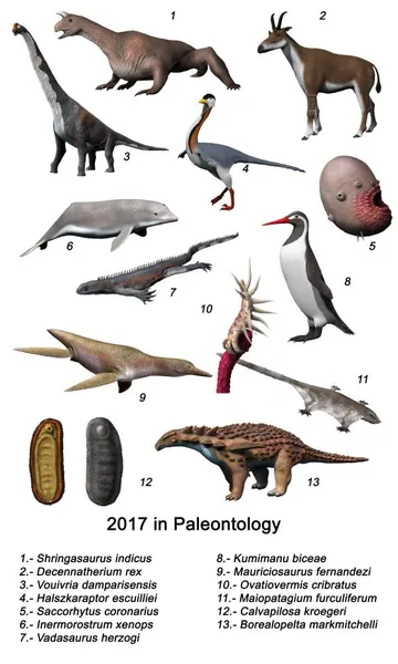 2017 in paleontology