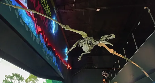 Argentavis