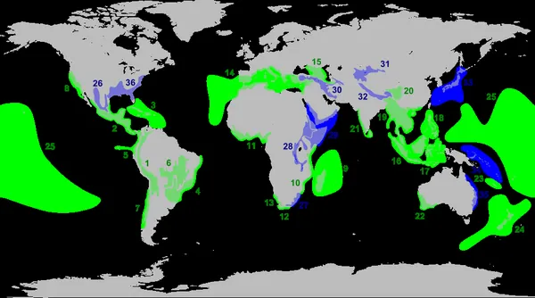 Biodiversity of Colombia