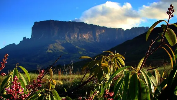 Guayana natural region