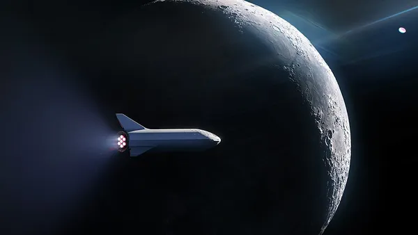 DearMoon project
