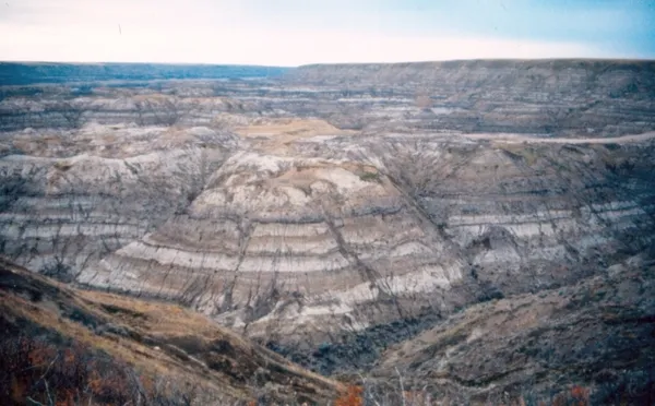 Horseshoe Canyon Formation