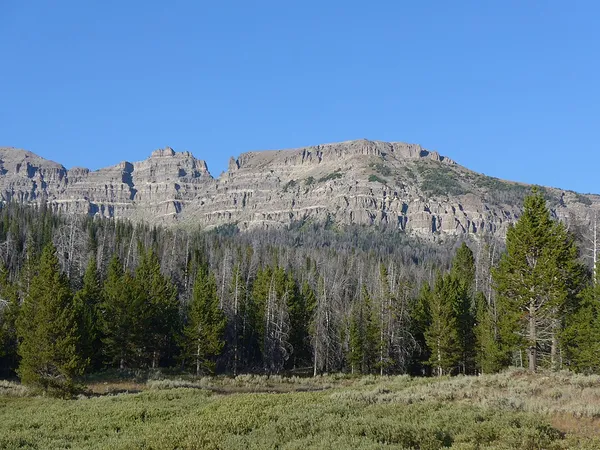 Breccia Peak (Wyoming)