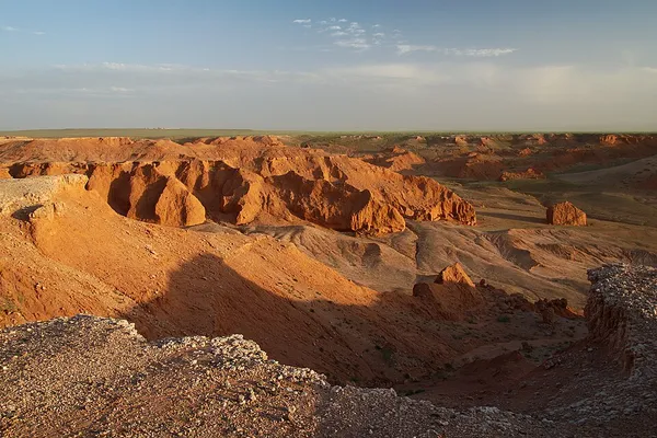 Djadochta Formation