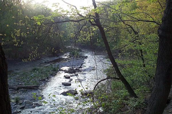 Euclid Creek