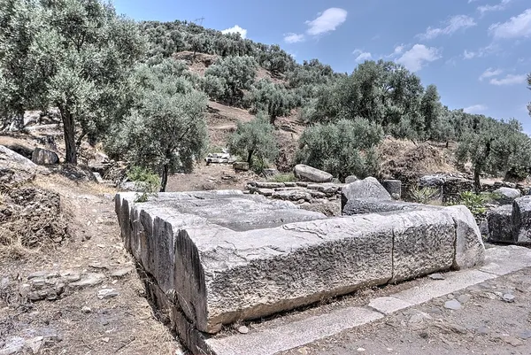 Acharaca