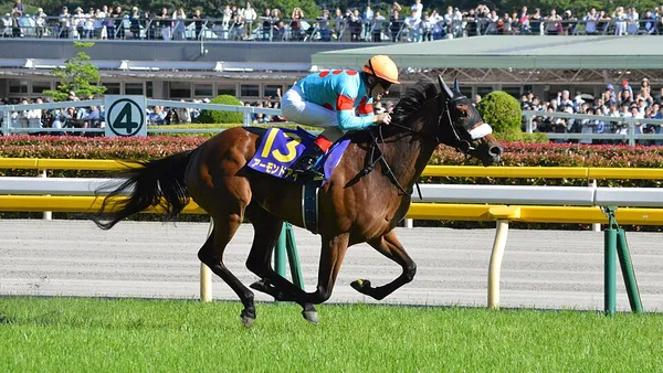 Almond Eye