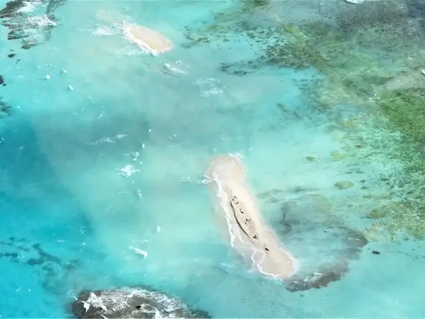 East Island (Hawaii)