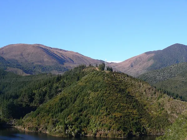 Dun Mountain–Maitai terrane