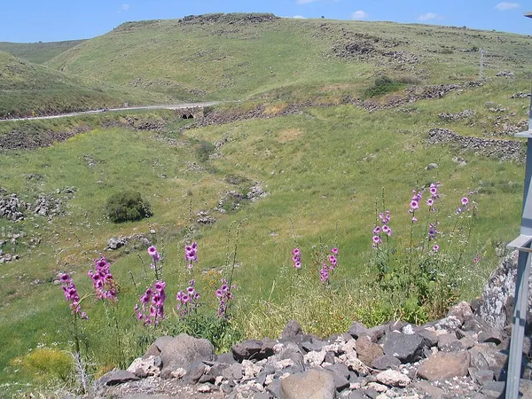 Korazim Plateau