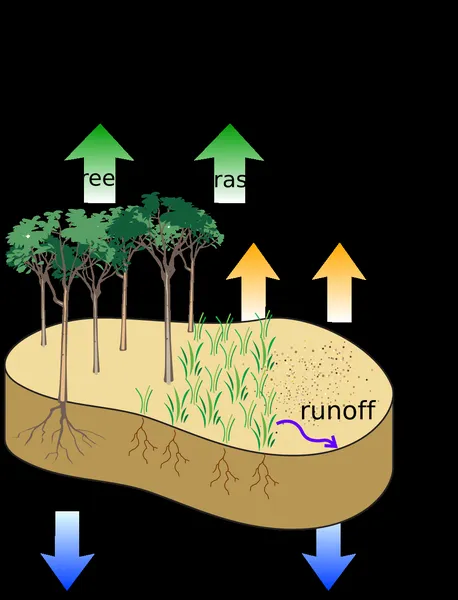 Groundwater recharge