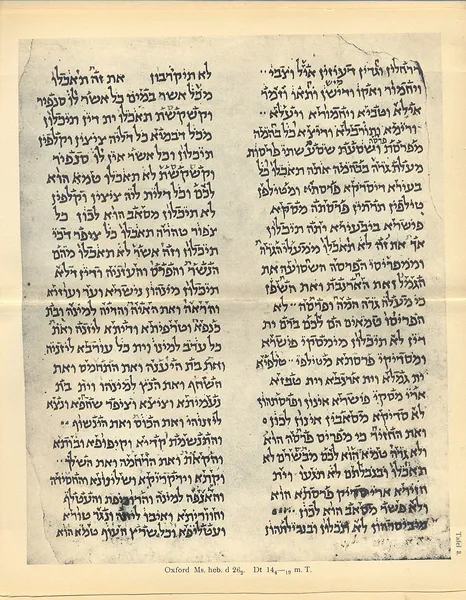 Cairo Geniza