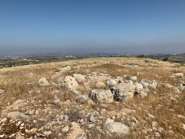 Bull Site