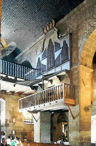 Bamboo Organ