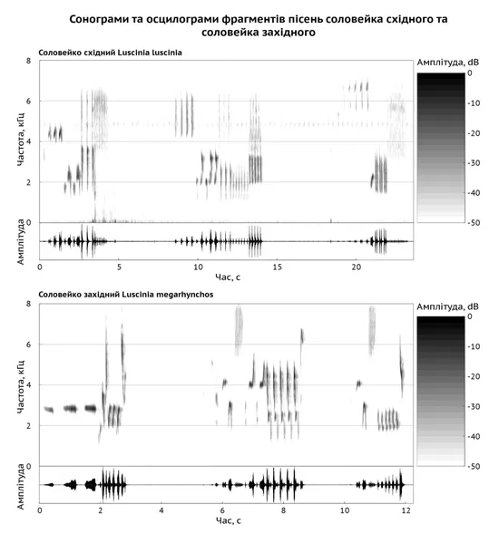 Bioacoustics