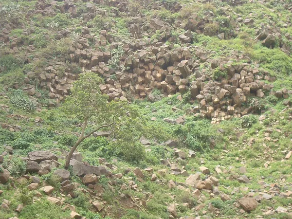 Ashangi Basalts