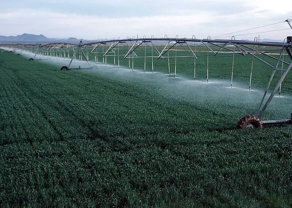 Agriculture