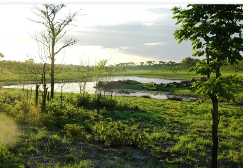 Conservation in Angola