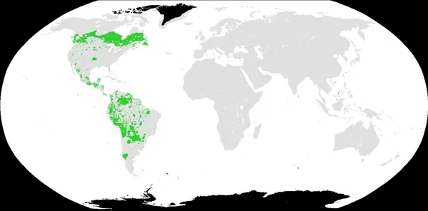 Amerind languages