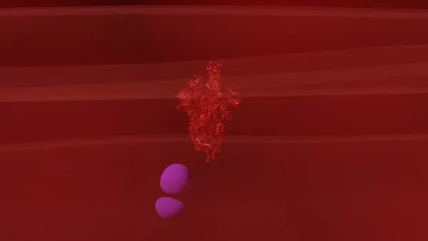 COVID-19 vaccine