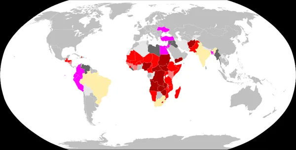 Food security during the COVID-19 pandemic