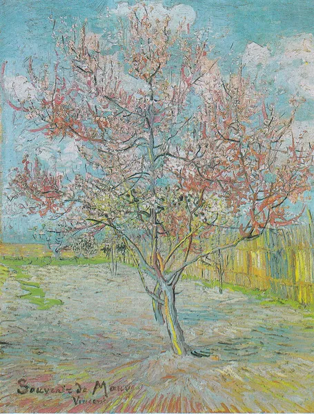 Flowering Orchards