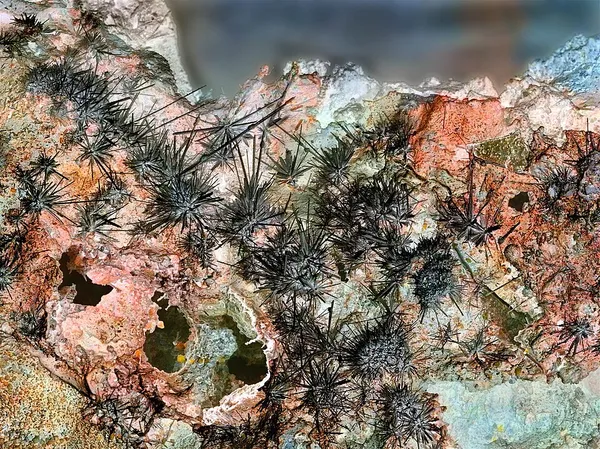 Fumarole mineral