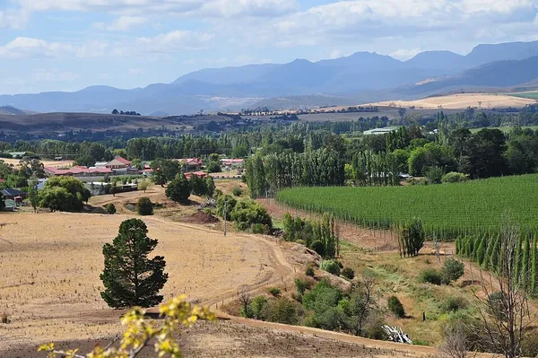 Derwent Valley Council
