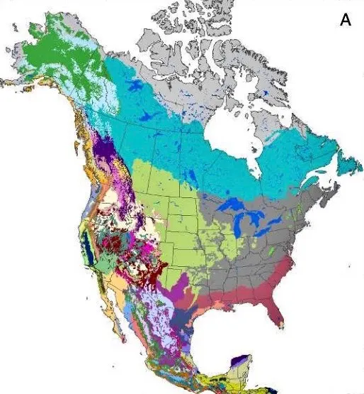 Assisted migration of forests in North America