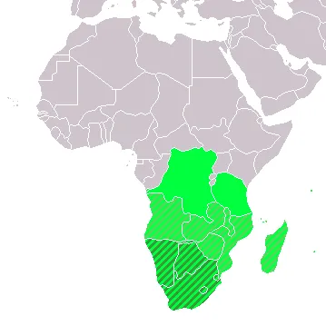 History of Southern Africa