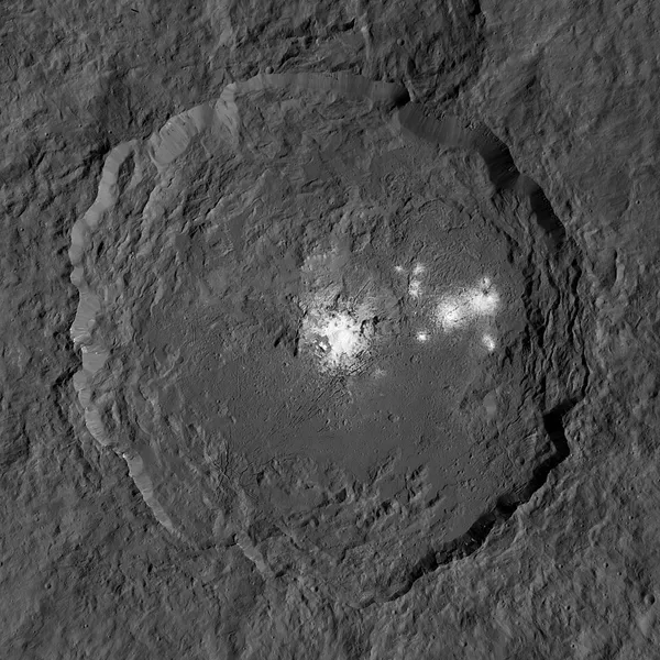 Calathus Mission