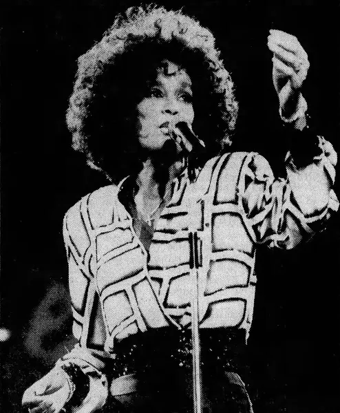 Cultural impact of Whitney Houston
