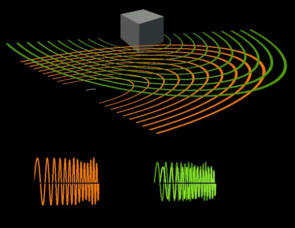 Animal echolocation