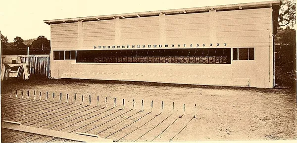 Animal Locomotion